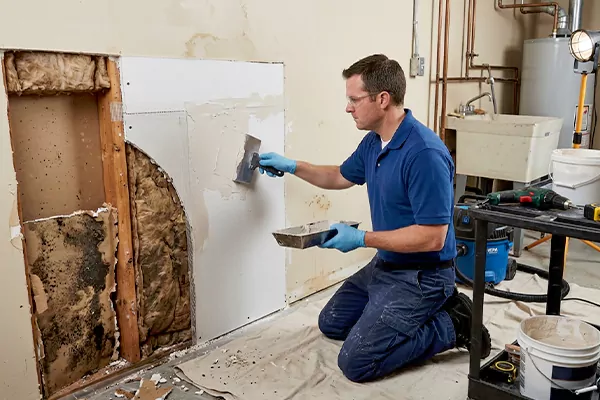 Mold and Drywall Repair Temecula