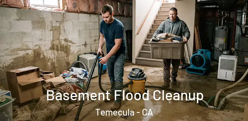  Basement Flood Cleanup Temecula - CA