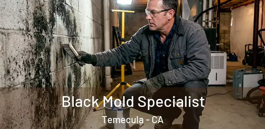 Black Mold Specialist Temecula - CA
