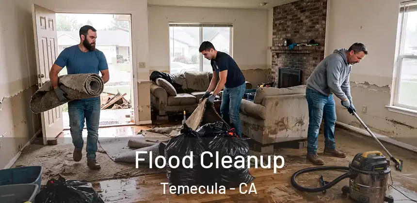  Flood Cleanup Temecula - CA