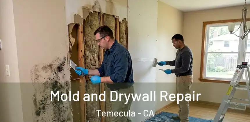  Mold and Drywall Repair Temecula - CA
