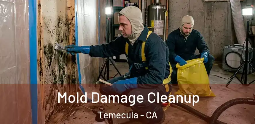  Mold Damage Cleanup Temecula - CA