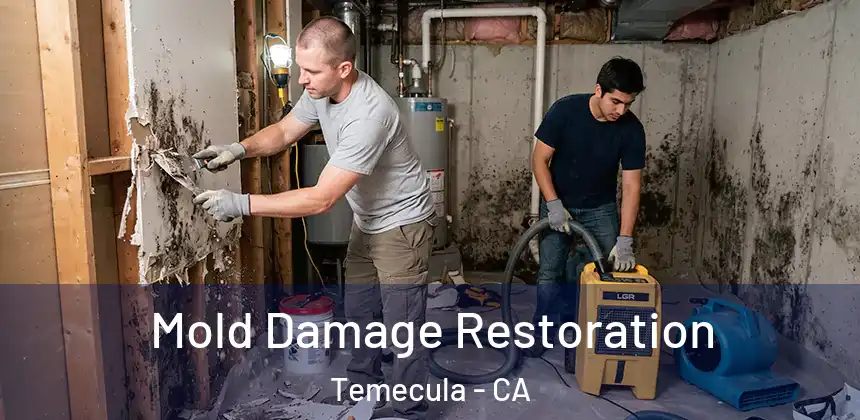 Mold Damage Restoration Temecula - CA