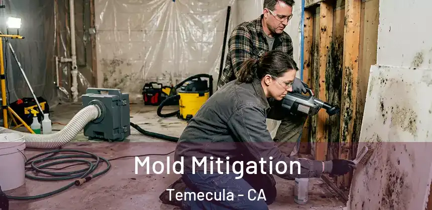 Mold Mitigation Temecula - CA