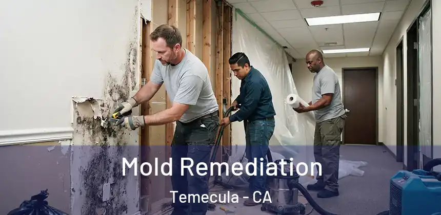  Mold Remediation Temecula - CA