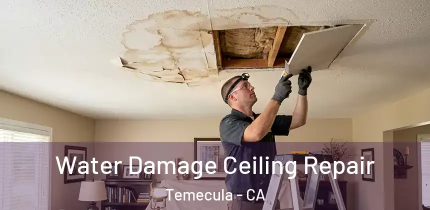  Water Damage Ceiling Repair Temecula - CA