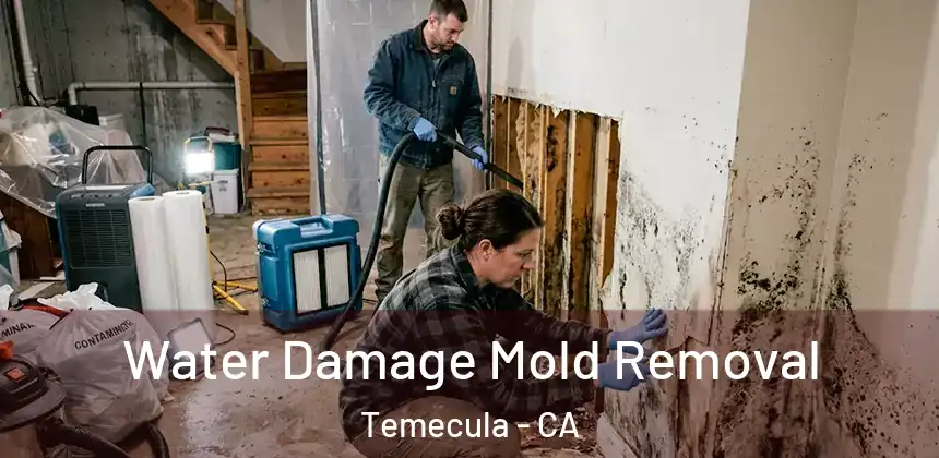  Water Damage Mold Removal Temecula - CA
